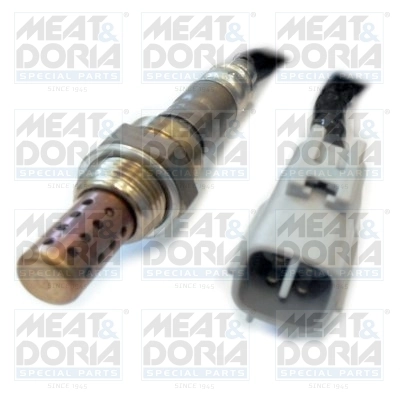 Oxygen Sensor